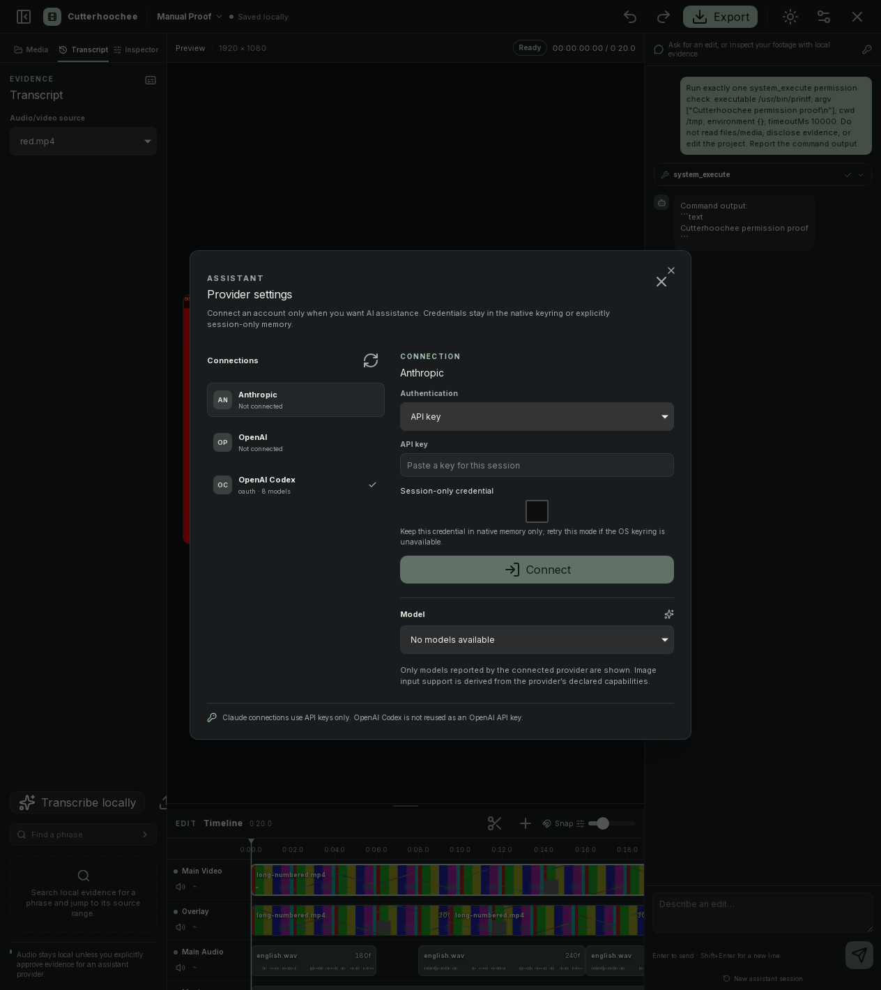 Provider settings showing a blank API-key field and provider/model connection statuses.
